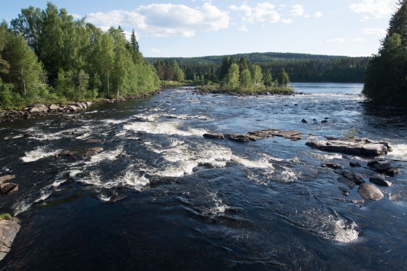 flislegger Elverum