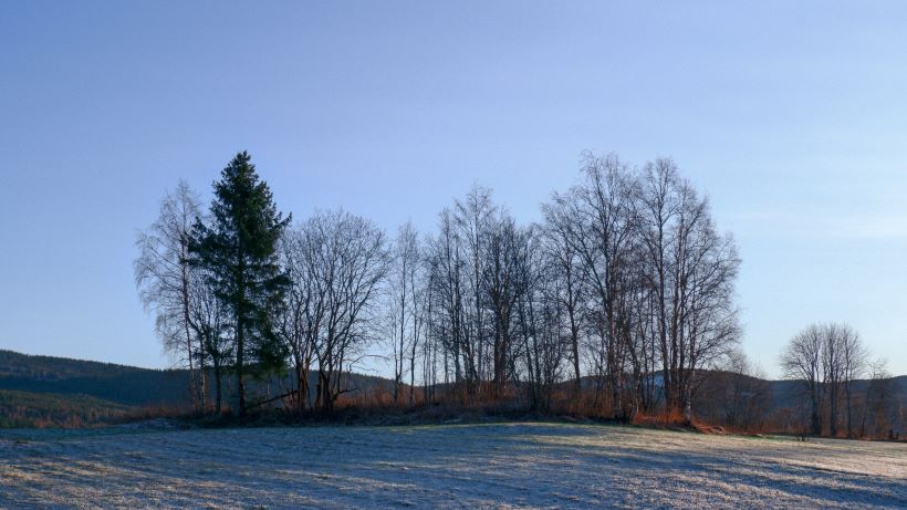 flislegger Hurdal
